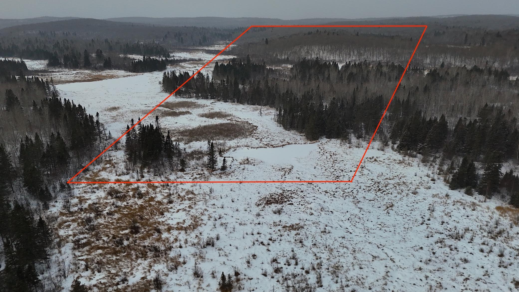 Xxx Zekes Road Schroeder, MN 55613 - Photo 5 of 38