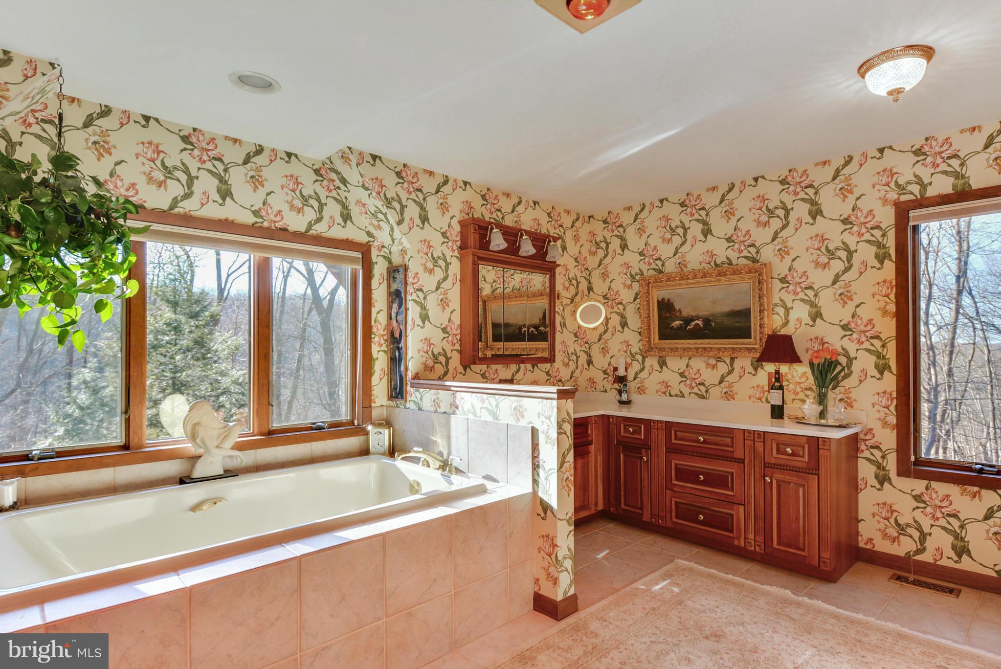 1401 Blue Mt Road Monkton, MD 21111 - Photo 18 of 30 Large and luxurious master bath