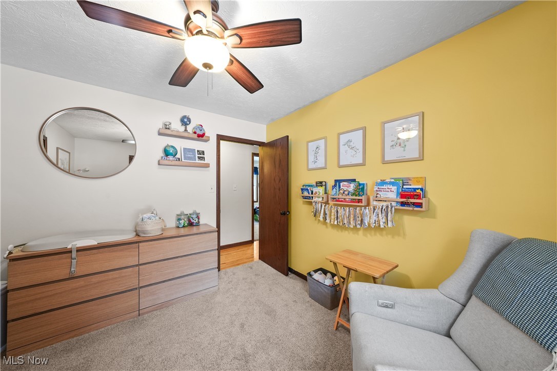 110 Judson Road Kent, OH 44240 - Photo 24 of 35 Living area with light carpet, a textured ceiling, and ceiling fan