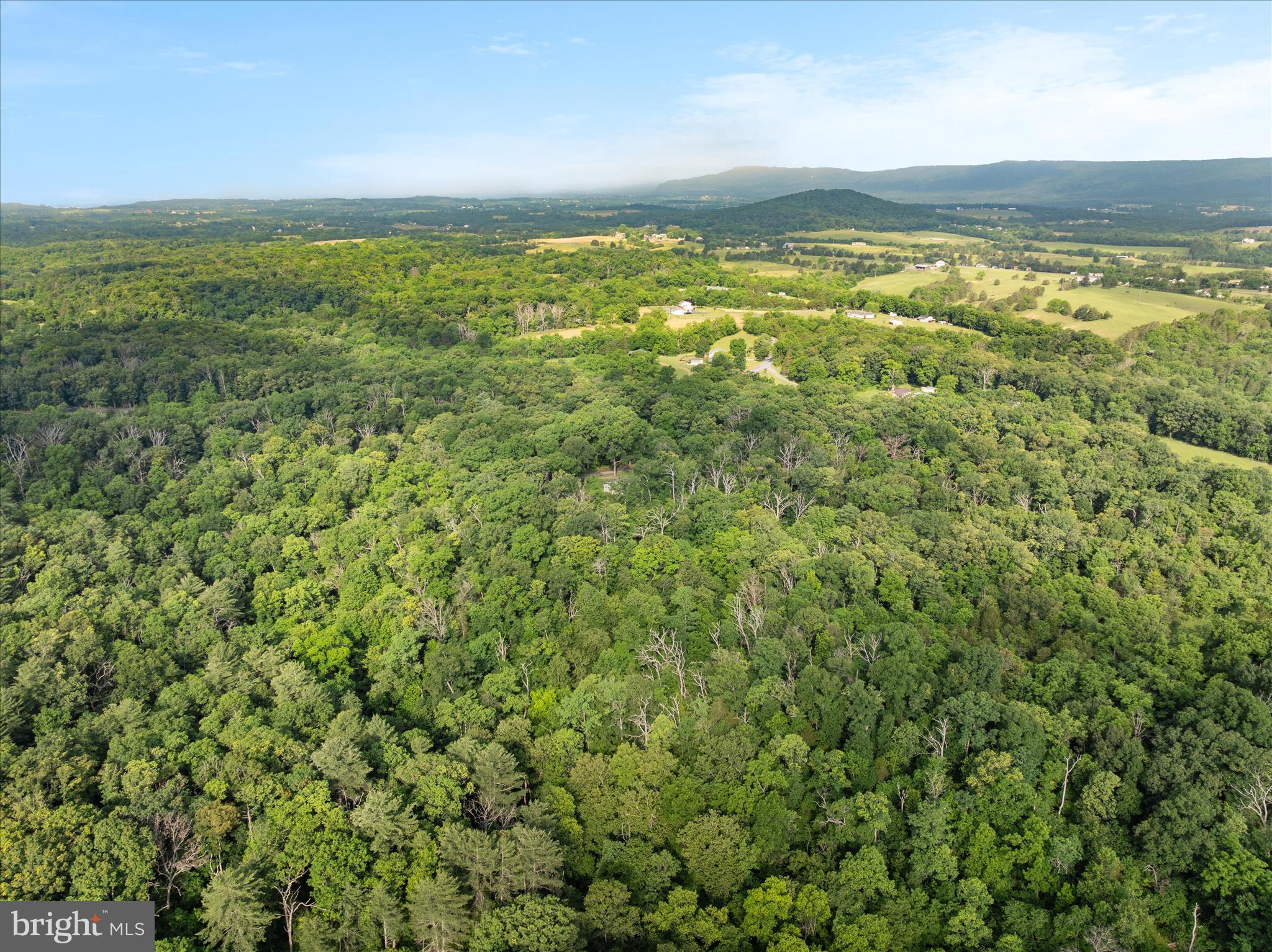 1488 Millner Road Strasburg, VA 22657 - Photo 38 of 44 Aerial view