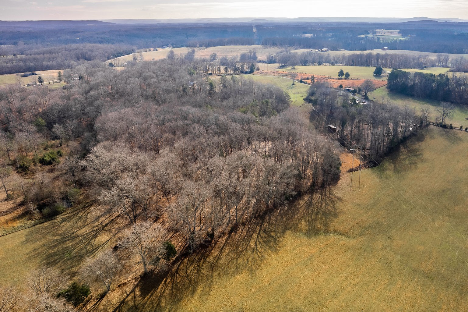 413 Green Hill Road Smithville, TN 37166 - Photo 11 of 14 Gallery Image 11