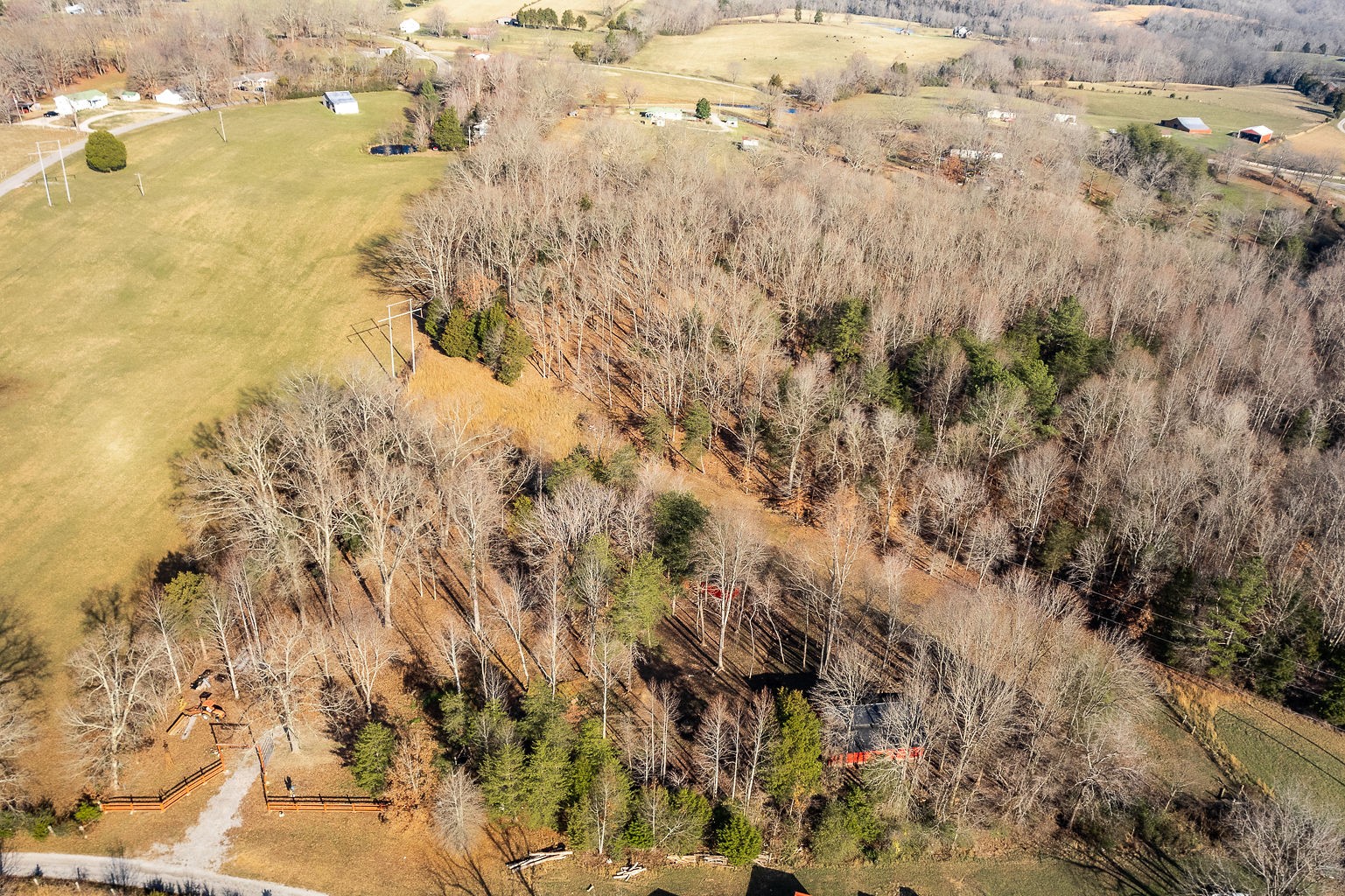 413 Green Hill Road Smithville, TN 37166 - Photo 8 of 14 Gallery Image 8