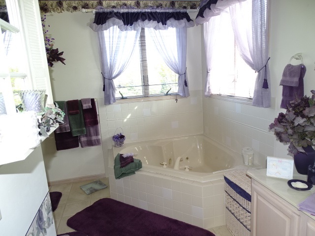 3189 West Forest Road Freeport, IL 61032 - Photo 15 of 22 a bathroom with a tub sink and window