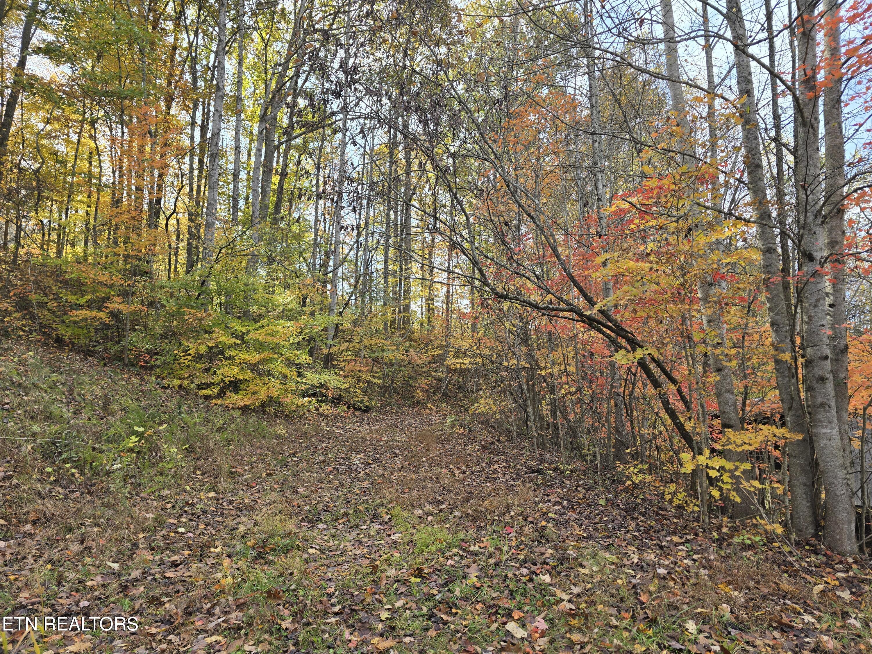 218 Don Greene Road Sneedville, TN 37869 - Photo 19 of 35 20251101_134417