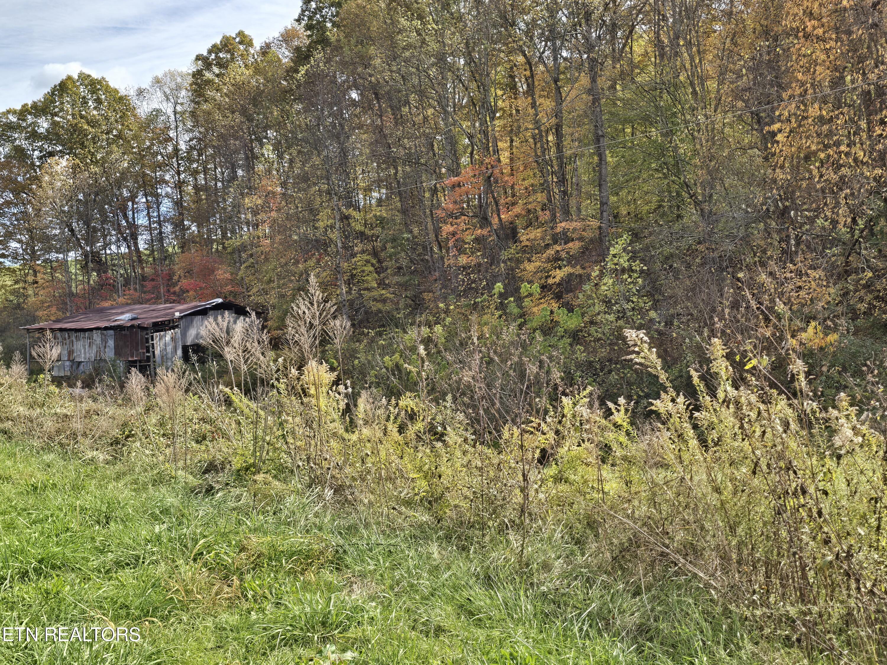 218 Don Greene Road Sneedville, TN 37869 - Photo 22 of 35 20251101_135510