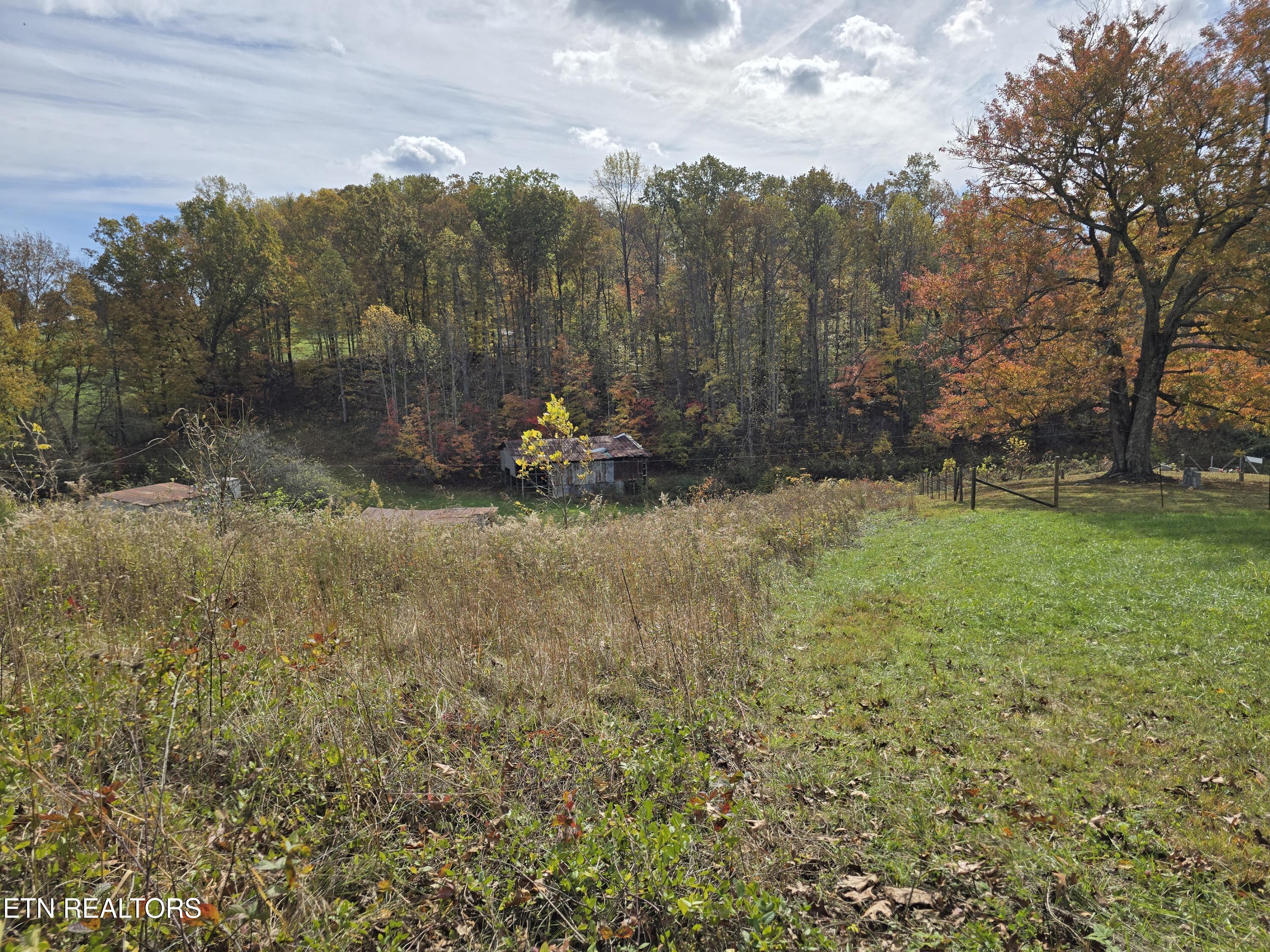 218 Don Greene Road Sneedville, TN 37869 - Photo 28 of 35 20251101_135859