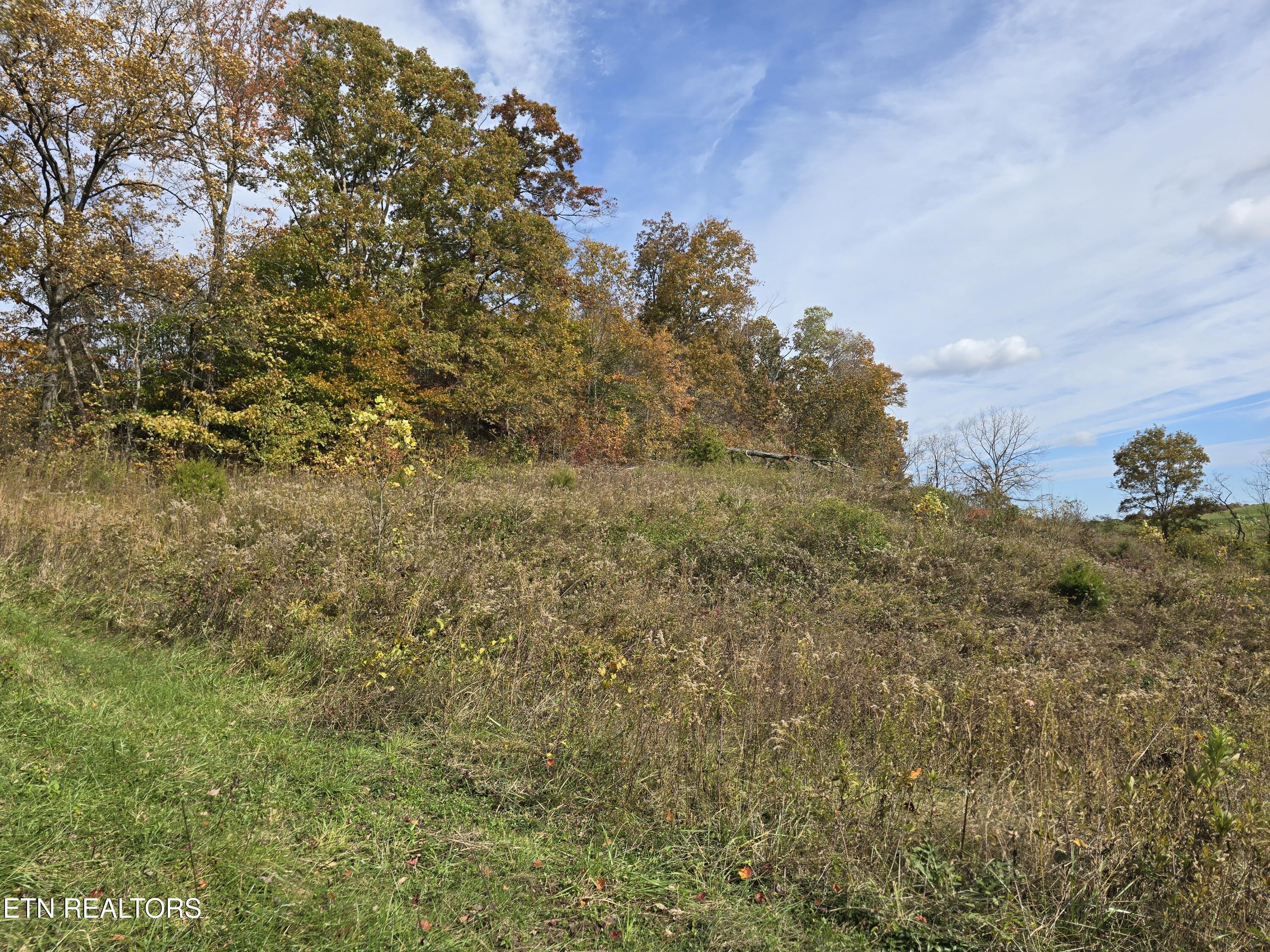 218 Don Greene Road Sneedville, TN 37869 - Photo 29 of 35 20251101_135804
