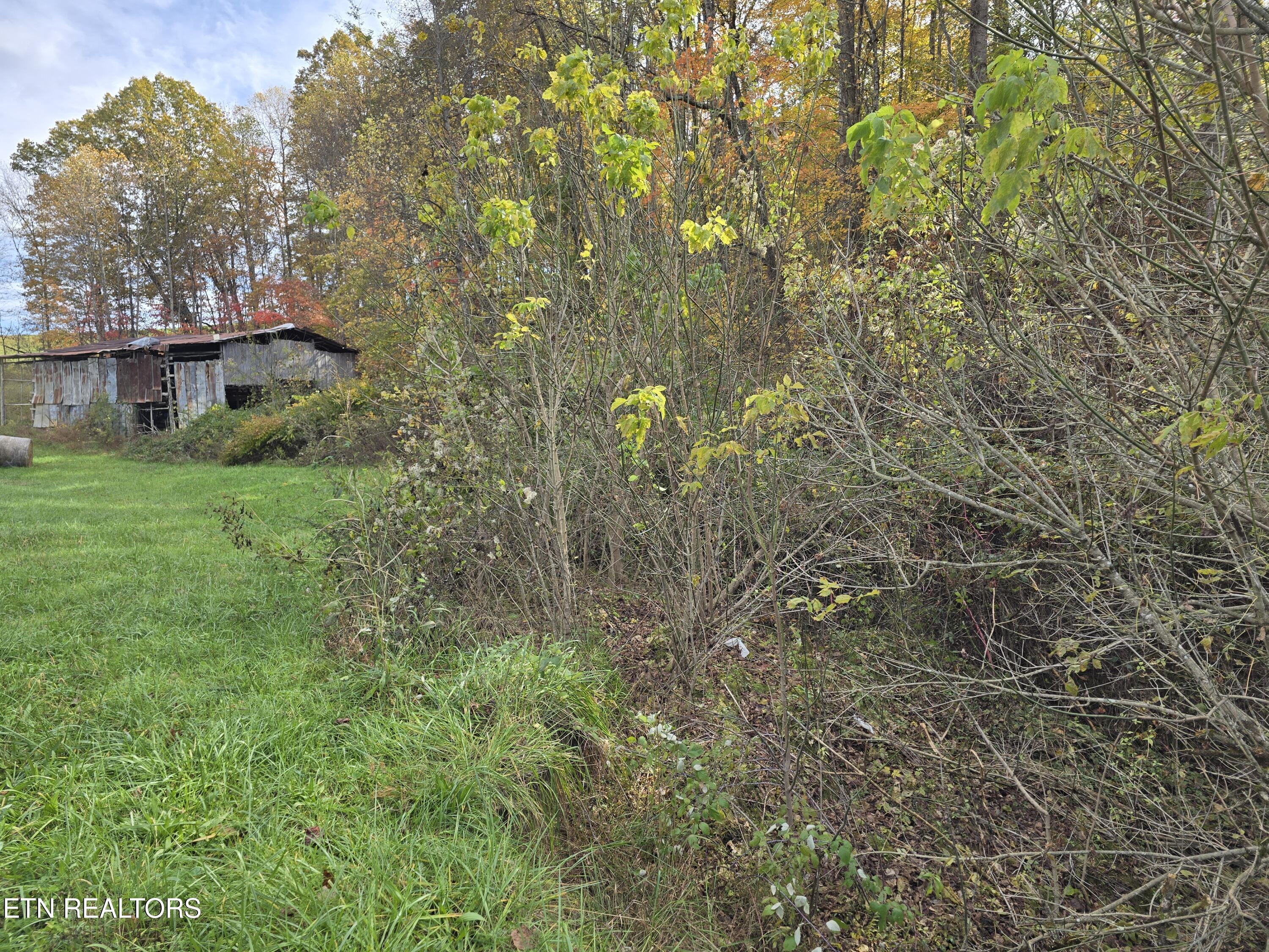 218 Don Greene Road Sneedville, TN 37869 - Photo 5 of 35 20251101_134108