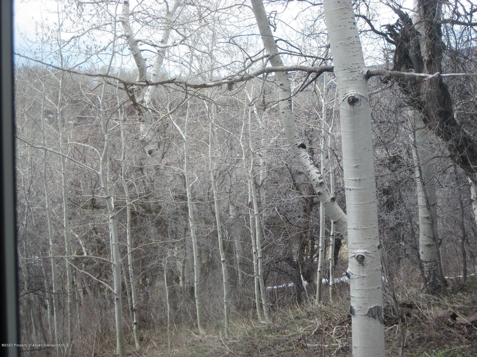 290 Timberlane Loop Road Craig, CO 81625 - Photo 25 of 30 IMG_2831