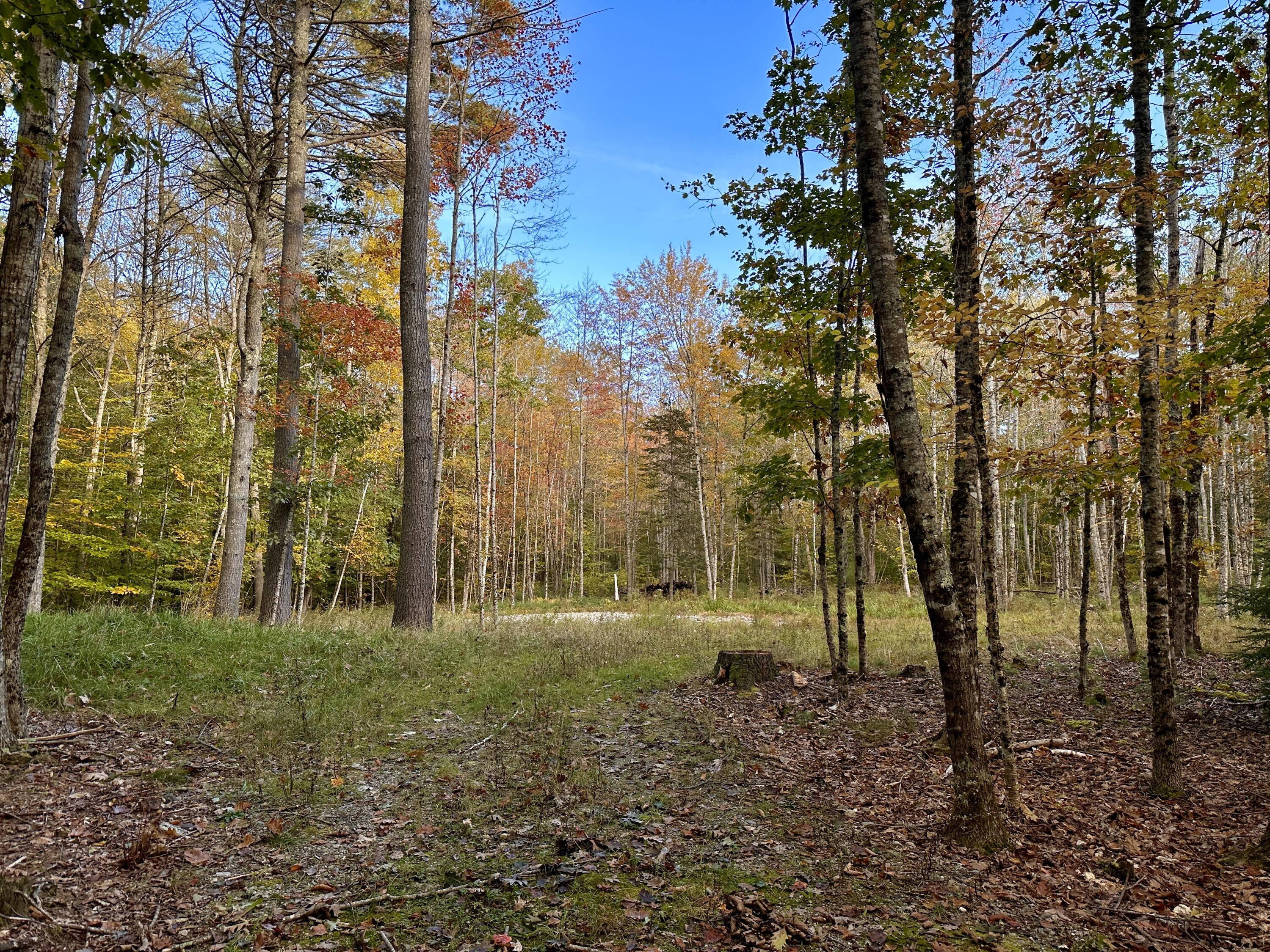 19 Old Farm Road Nobleboro, ME 04555 - Photo 3 of 6 19oldfarm2