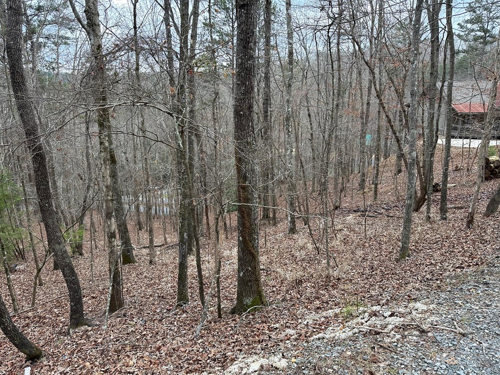 0 Dawn Lane Ellijay, GA 30540 - Photo 3 of 9 a close up of a sink