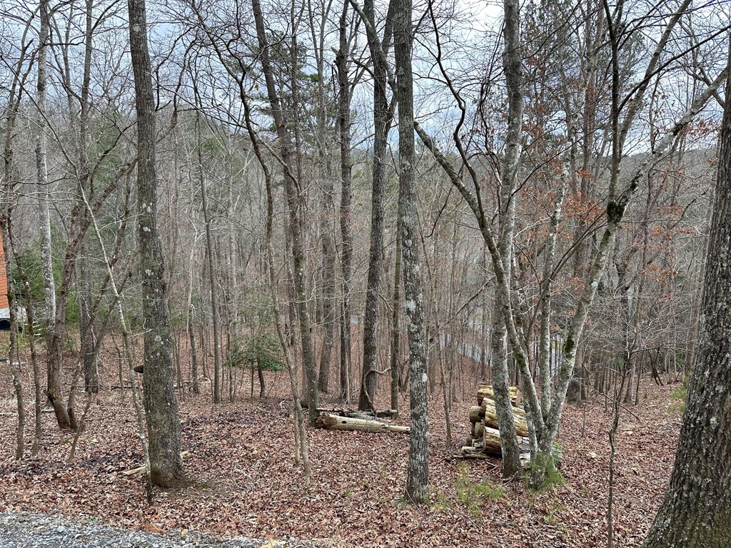 0 Dawn Lane Ellijay, GA 30540 - Photo 4 of 9 a backyard of a house with lots of green space