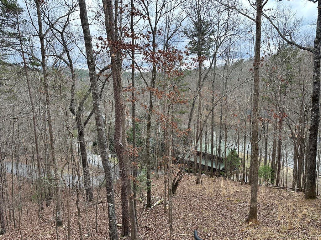 0 Dawn Lane Ellijay, GA 30540 - Photo 5 of 9 a view of a yard