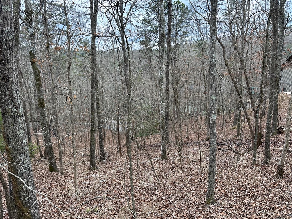 0 Dawn Lane Ellijay, GA 30540 - Photo 9 of 9 a view of a yard with trees in the background