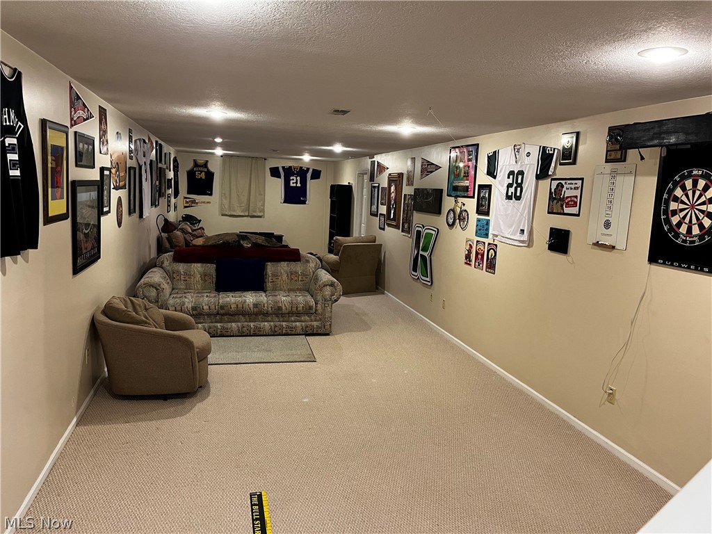 6876 Clark Road Atwater, OH 44201 - Photo 20 of 41 Living room featuring a textured ceiling and carpet flooring