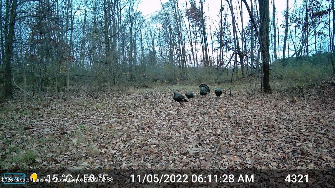 2935 Stillson Road Stockbridge, MI 49285 - Photo 12 of 26 24
