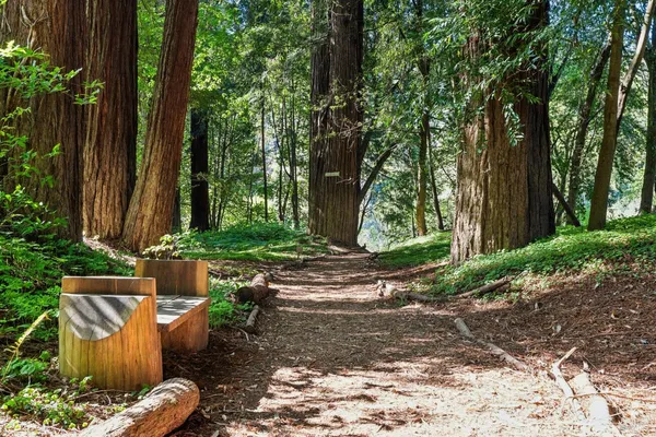 a kitchen that has a sink and a stove