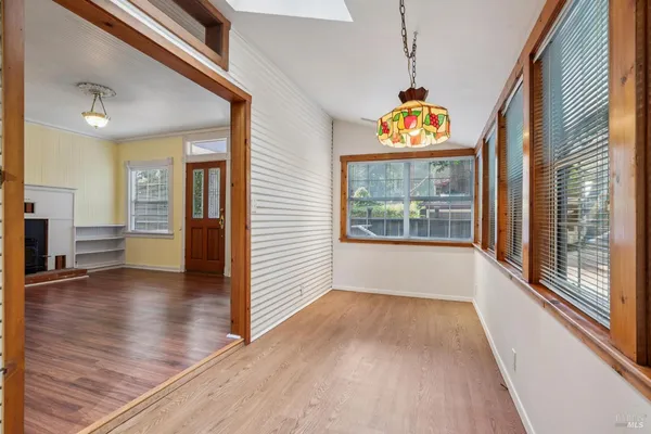 a view of a backyard with plants and large trees