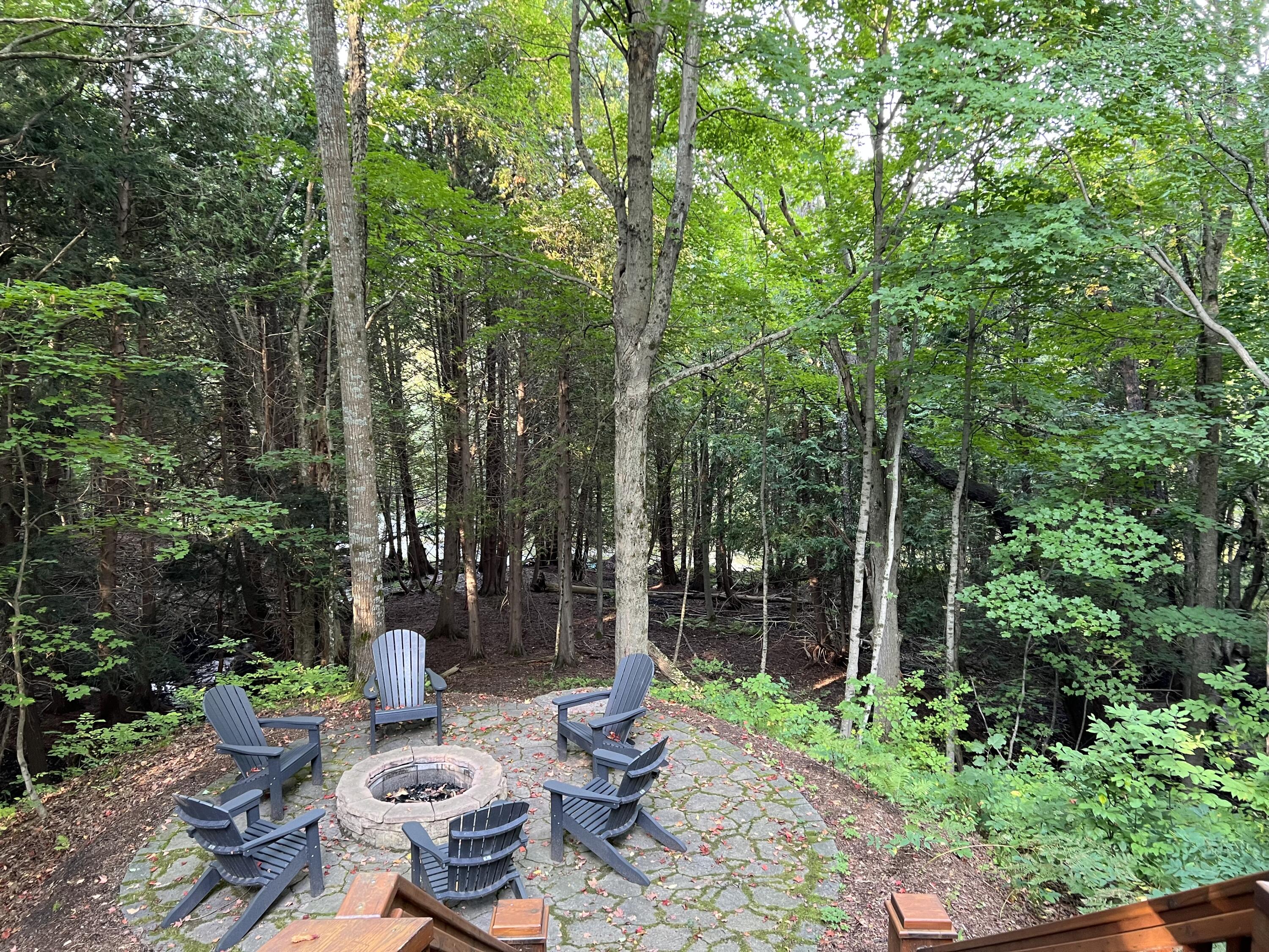 18396 Pine Ridge Way Thompsonville, MI 49683 - Photo 67 of 77 IMG_2410
