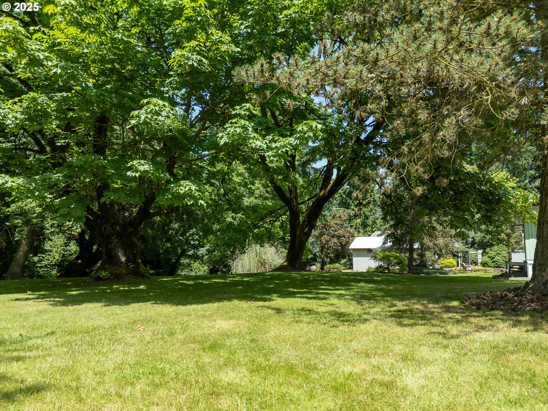 16163 French Prairie Road Northeast Woodburn, OR 97071 - Photo 26 of 47 a view of outdoor space with deck and yard