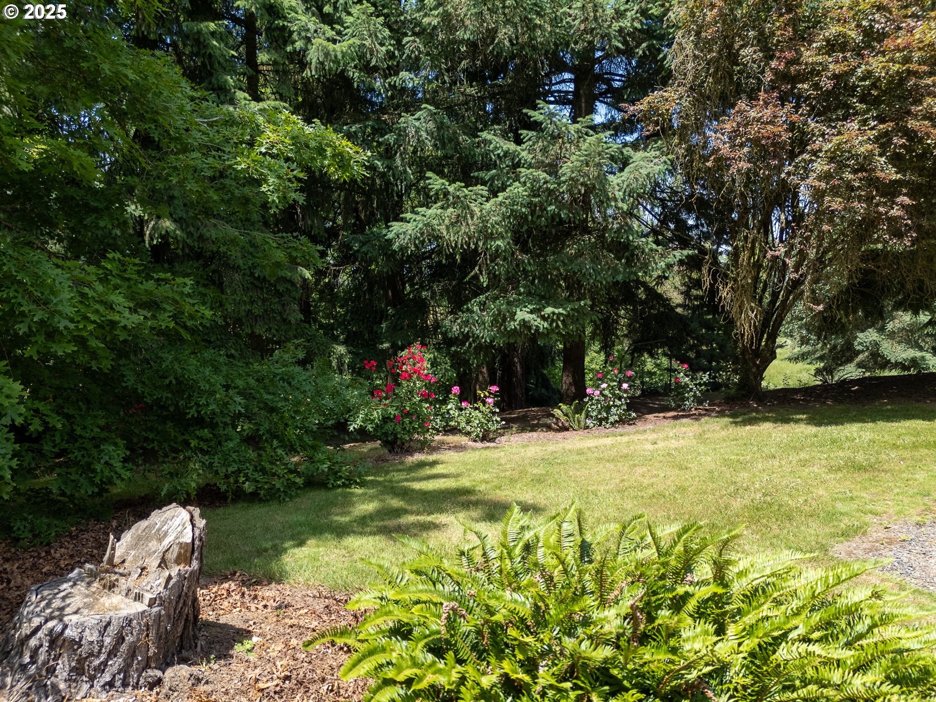 16163 French Prairie Road Northeast Woodburn, OR 97071 - Photo 27 of 47 a view of a yard with plants