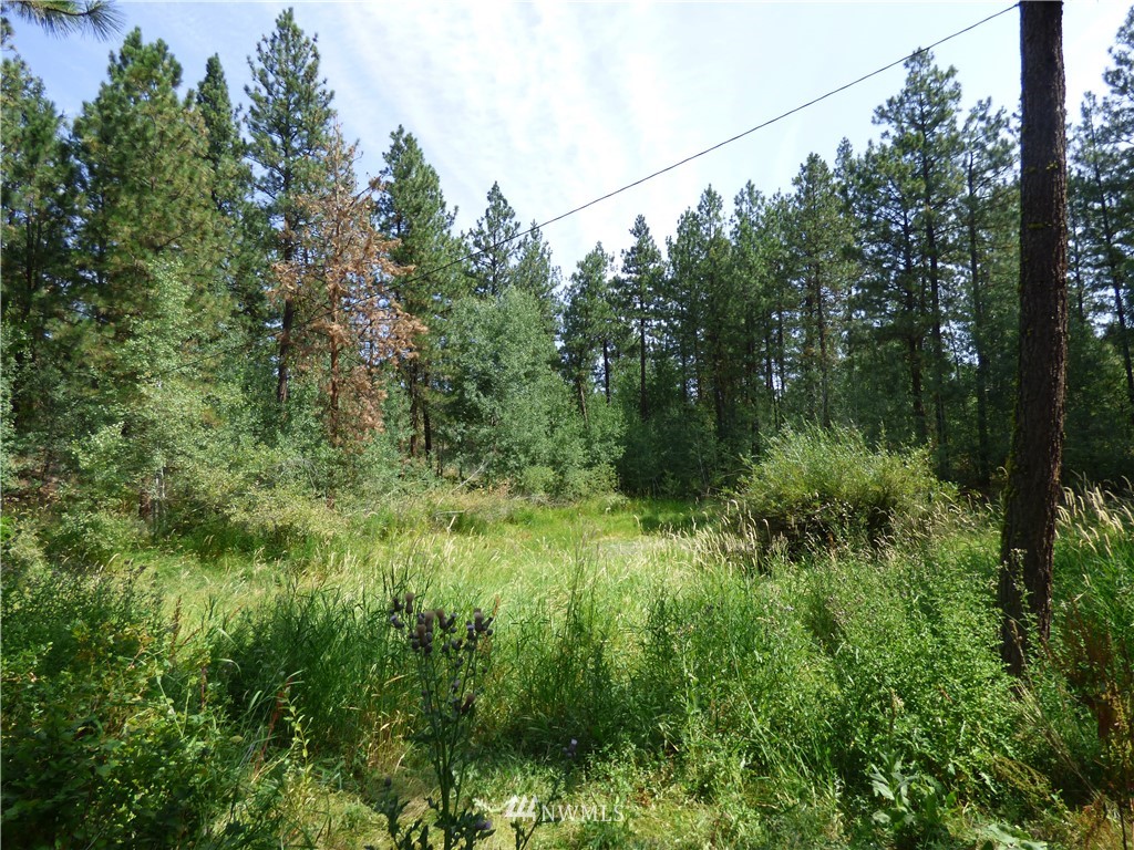 163 Madd Mountain Road Okanogan, WA 98840 - Photo 16 of 25 Gallery Image 16