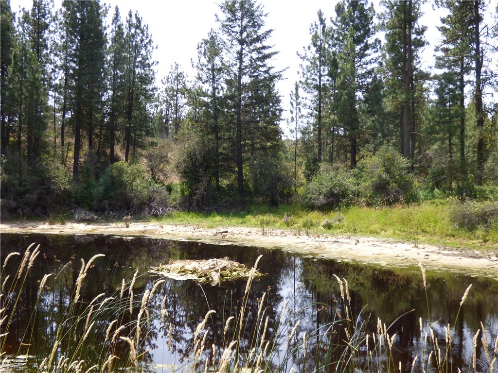 163 Madd Mountain Road Okanogan, WA 98840 - Photo 22 of 25 Gallery Image 22