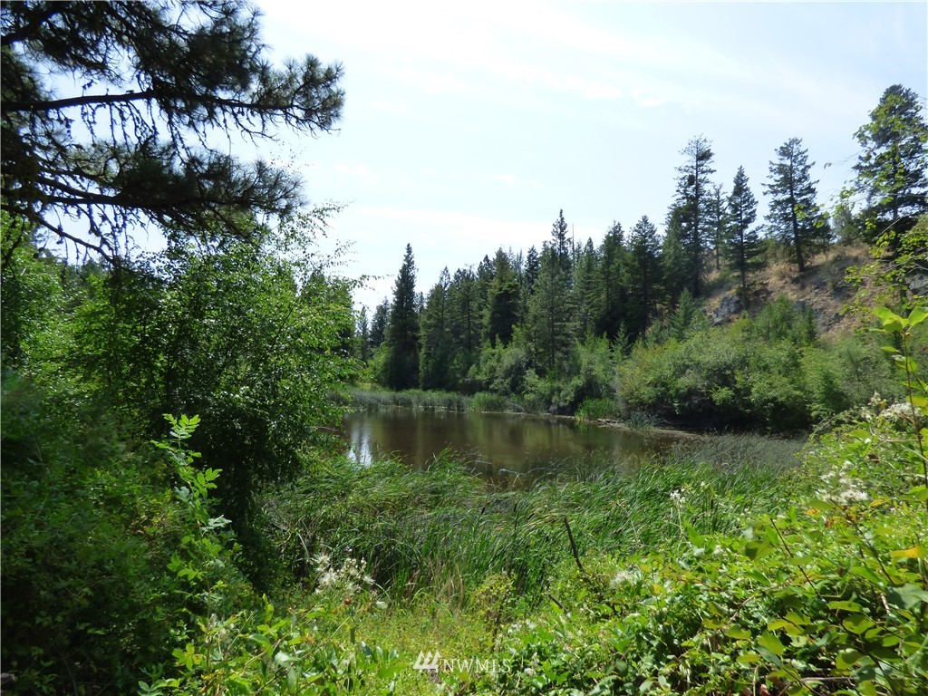 163 Madd Mountain Road Okanogan, WA 98840 - Photo 23 of 25 Gallery Image 23