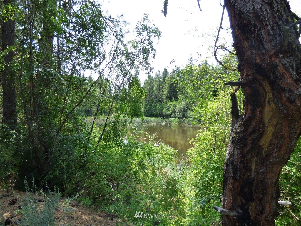 163 Madd Mountain Road Okanogan, WA 98840 - Photo 25 of 25 Gallery Image 25
