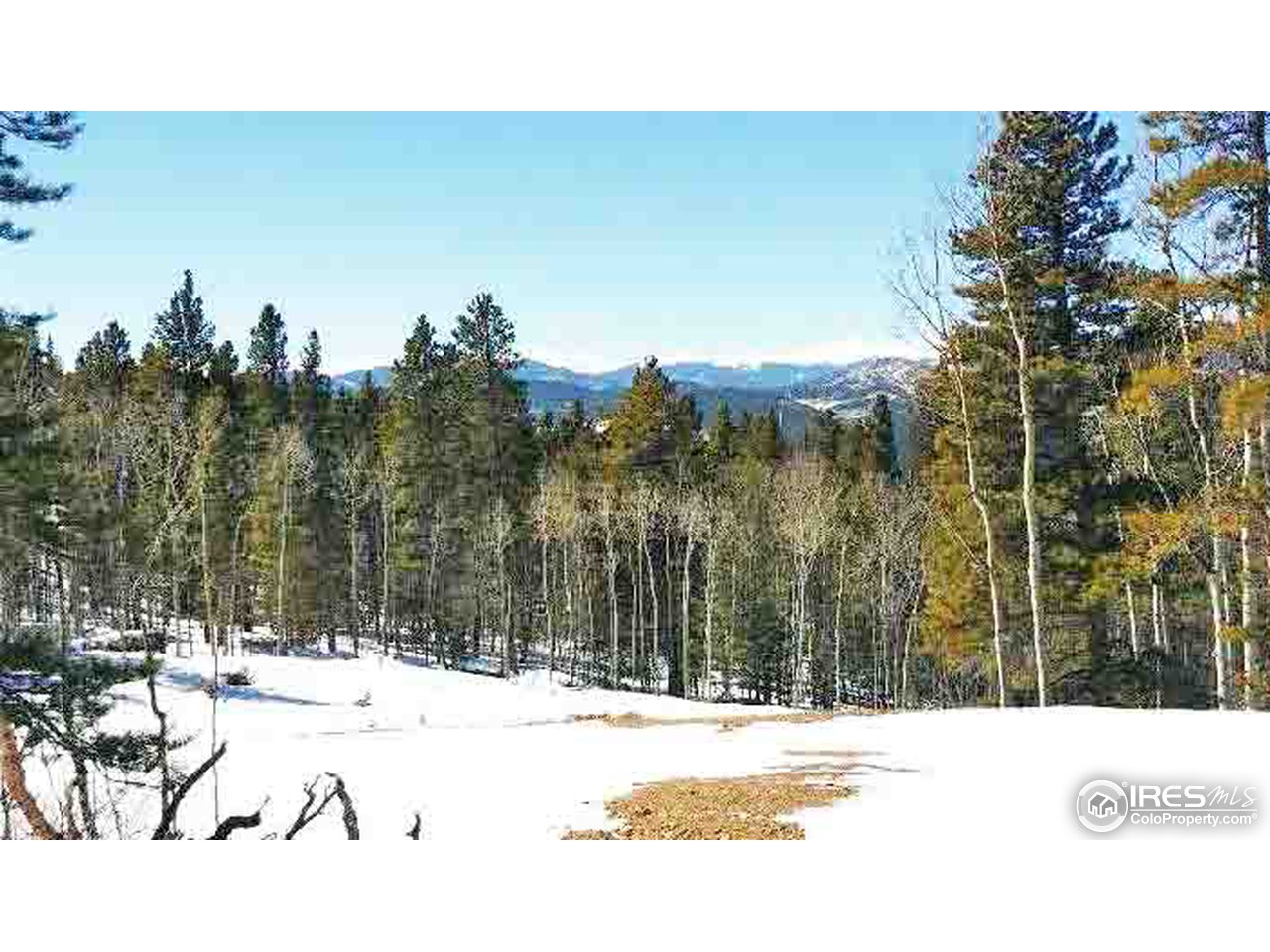 0 Beaver Road Black Hawk, CO 80422 - Photo 2 of 8 View and privacy