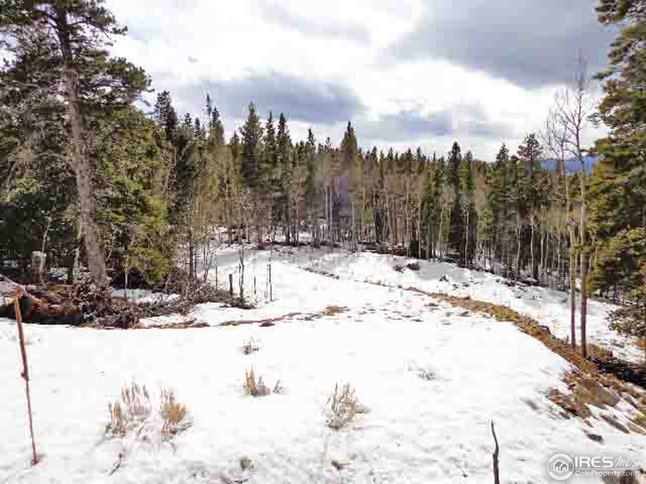 0 Beaver Road Black Hawk, CO 80422 - Photo 3 of 8 driveway cut in