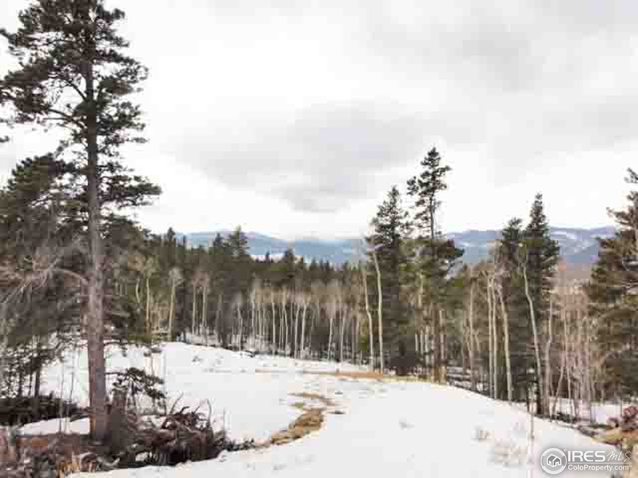 0 Beaver Road Black Hawk, CO 80422 - Photo 5 of 8 Gallery Image 5