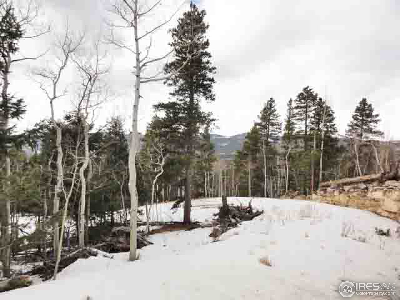 0 Beaver Road Black Hawk, CO 80422 - Photo 6 of 8 Gallery Image 6