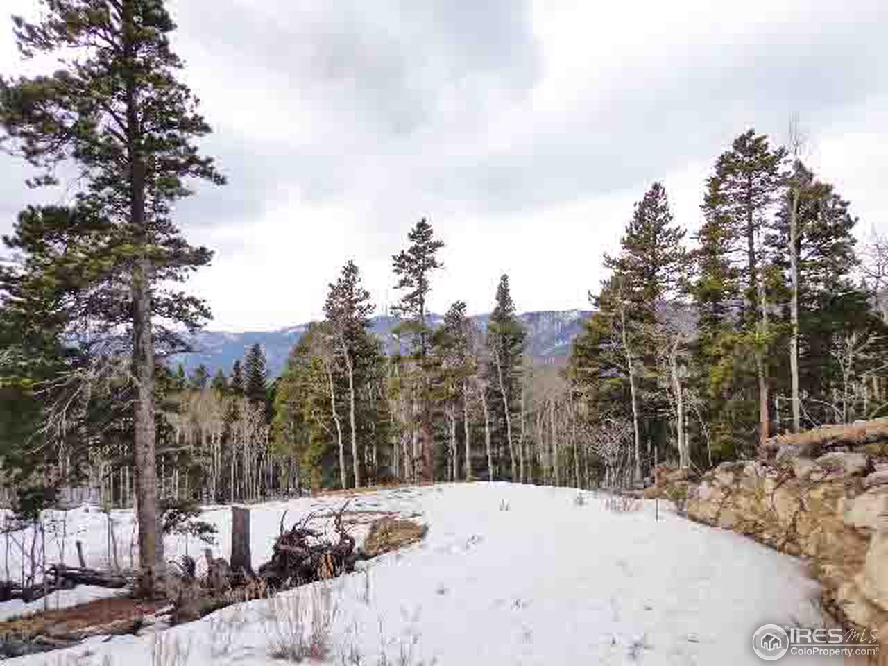 0 Beaver Road Black Hawk, CO 80422 - Photo 8 of 8 Gallery Image 8