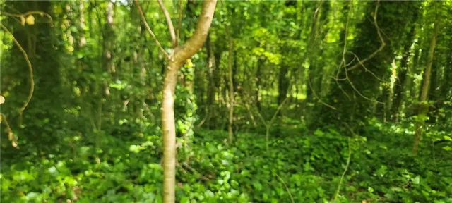 $400,000 | 0 Watkins Glen Drive Northeast, Kennesaw, GA 30144