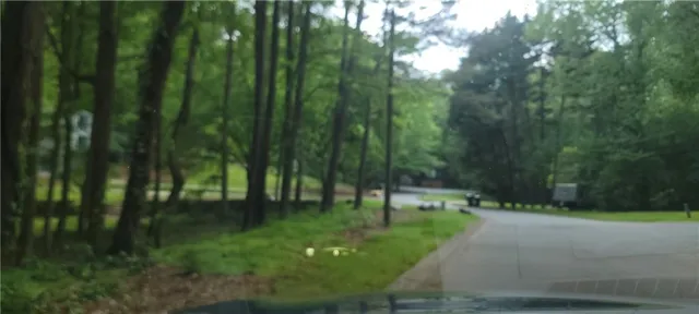 a view of a lush green forest