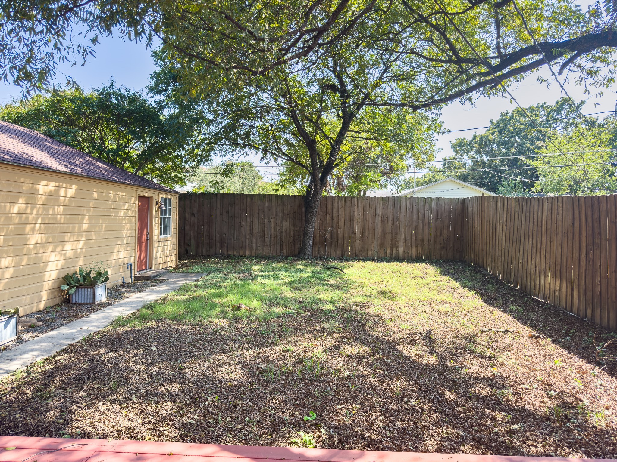 2222 Carnes Street Dallas, TX 75208 - Photo 7 of 50 Back yard