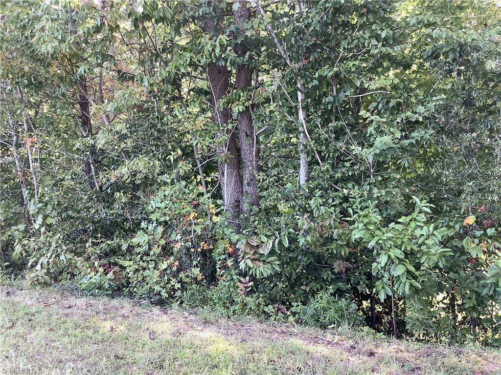 0 Power Dam Road Walnut Cove, NC 27052 - Photo 36 of 49 Gallery Image 36