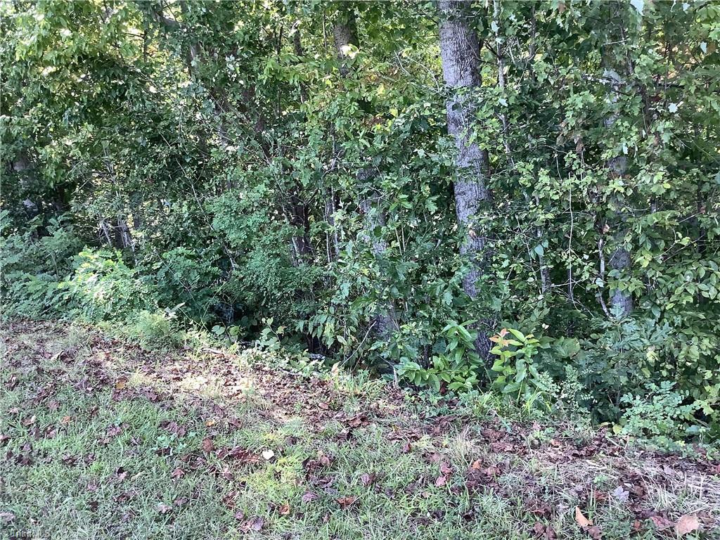 0 Power Dam Road Walnut Cove, NC 27052 - Photo 43 of 49 Gallery Image 43