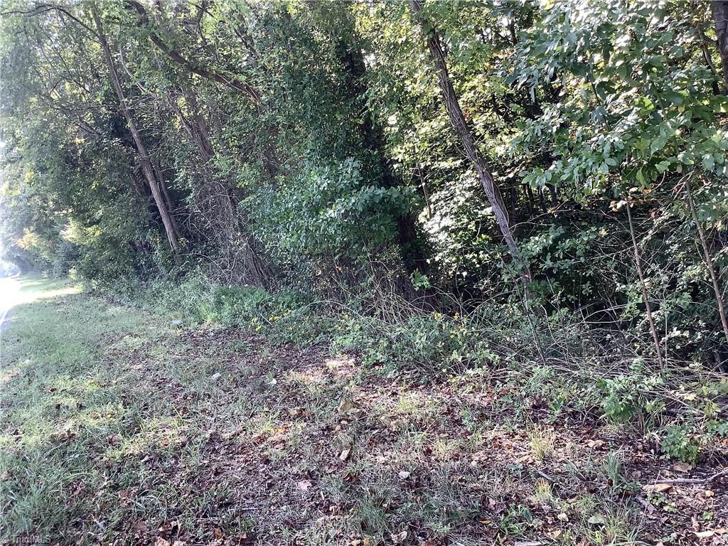0 Power Dam Road Walnut Cove, NC 27052 - Photo 47 of 49 Gallery Image 47