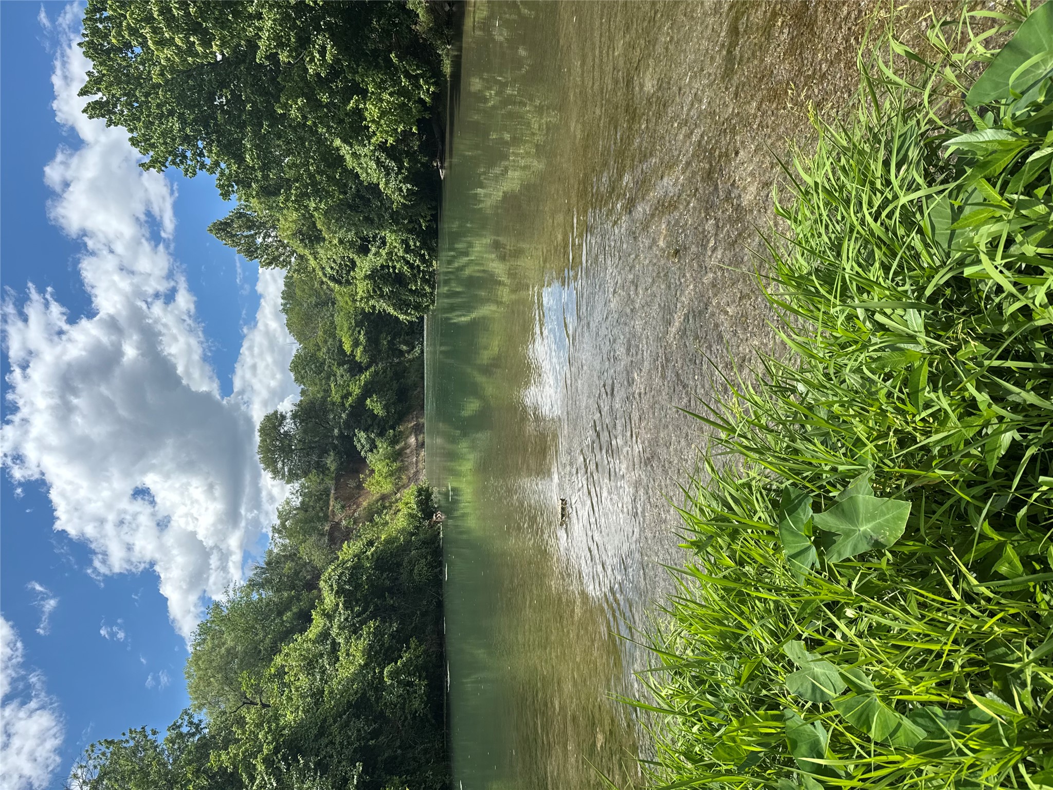 Lot 4-tbd Rd Martindale Tx 78655 Road Martindale, TX 78655 - Photo 18 of 23 Water view with a heavily wooded area