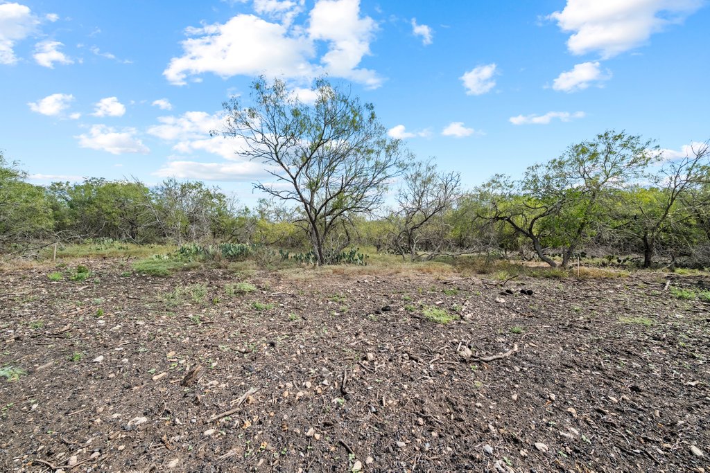 Lot 4-tbd Rd Martindale Tx 78655 Road Martindale, TX 78655 - Photo 21 of 23 a view of a yard with trees