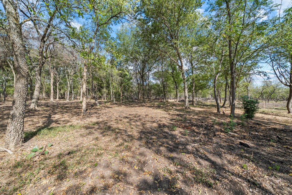 Lot 4-tbd Rd Martindale Tx 78655 Road Martindale, TX 78655 - Photo 22 of 23 a view of outdoor space with large trees