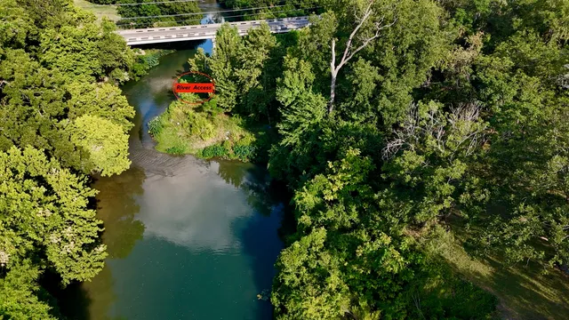a view of a flower arrangement in a garden