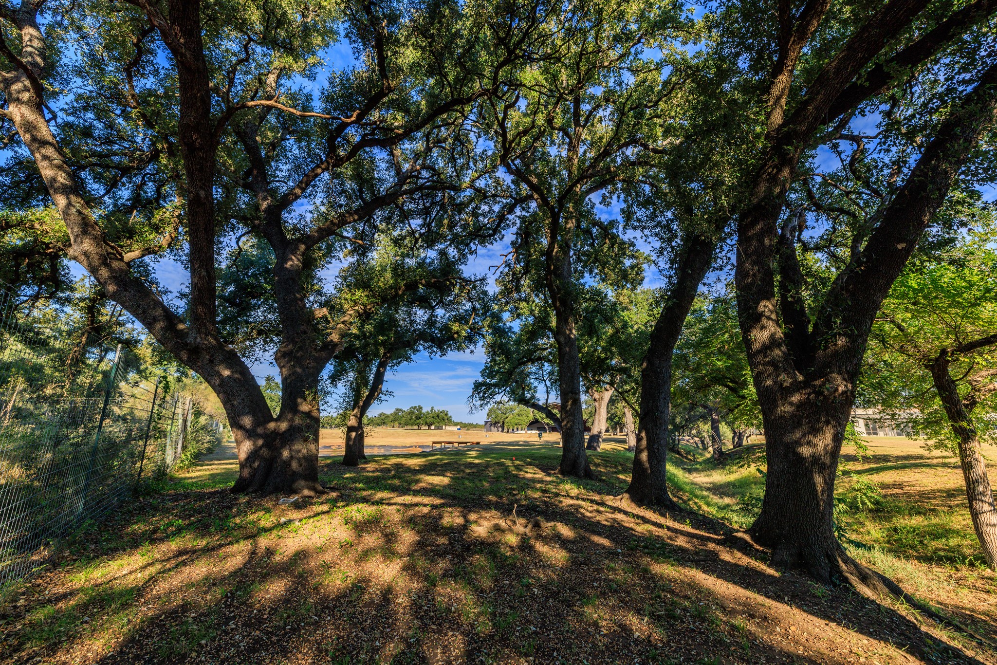 5862 Ranch Road 965 Llano, TX 78643 - Photo 40 of 40 a view of a tree in a yard