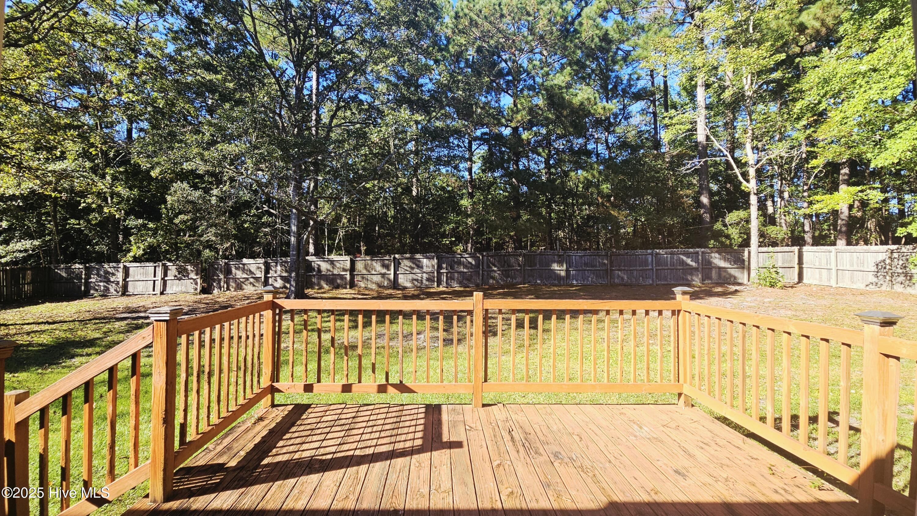 234 Natalie Lane Hubert, NC 28539 - Photo 18 of 23 Deck