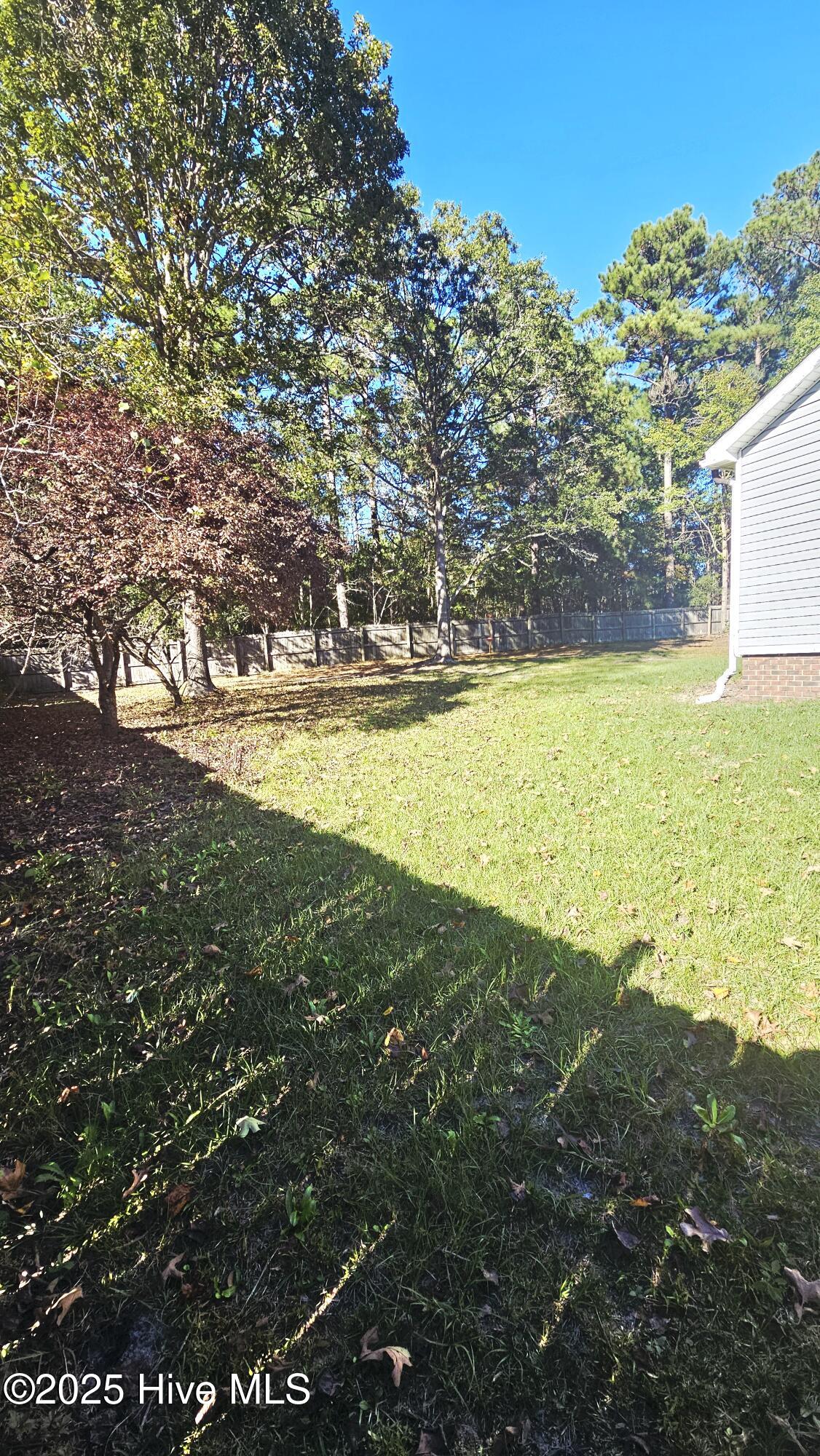 234 Natalie Lane Hubert, NC 28539 - Photo 19 of 23 Backyard