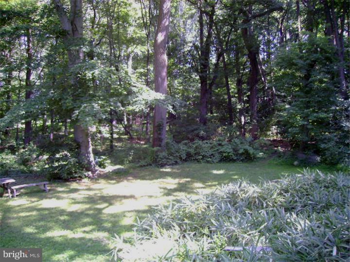 1165 Providence Road Springfield, PA 19064 - Photo 23 of 25 View in Back