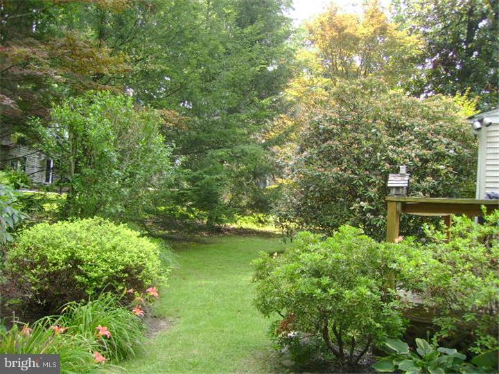 1165 Providence Road Springfield, PA 19064 - Photo 24 of 25 View in Back