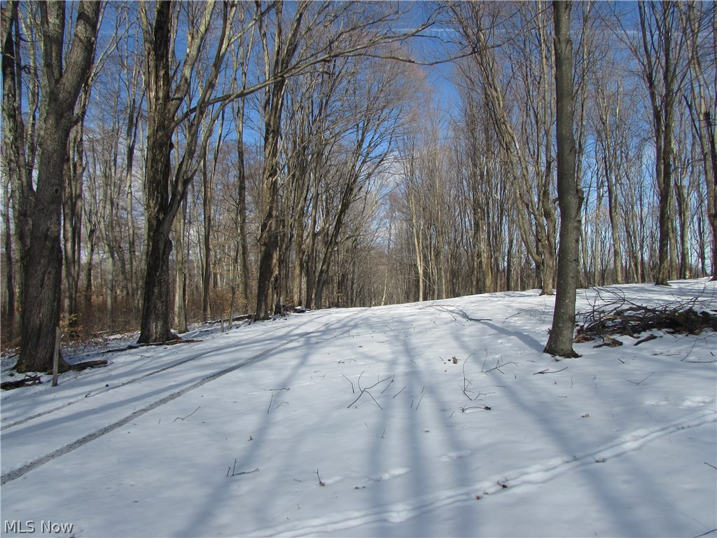 15 Ridgetop Road Monterville, WV 26282 - Photo 19 of 22